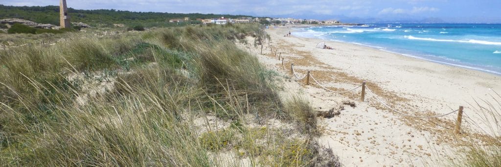 Strand Son Serra de Marina